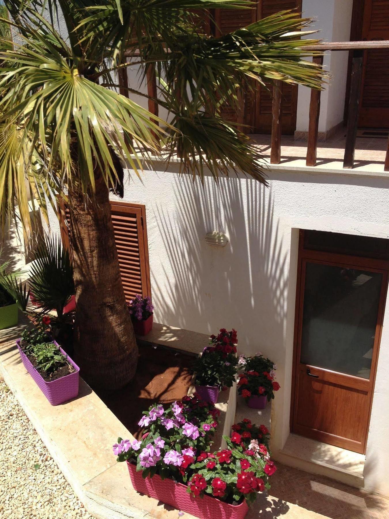 Villa Maria San Vito Lo Capo Exteriér fotografie